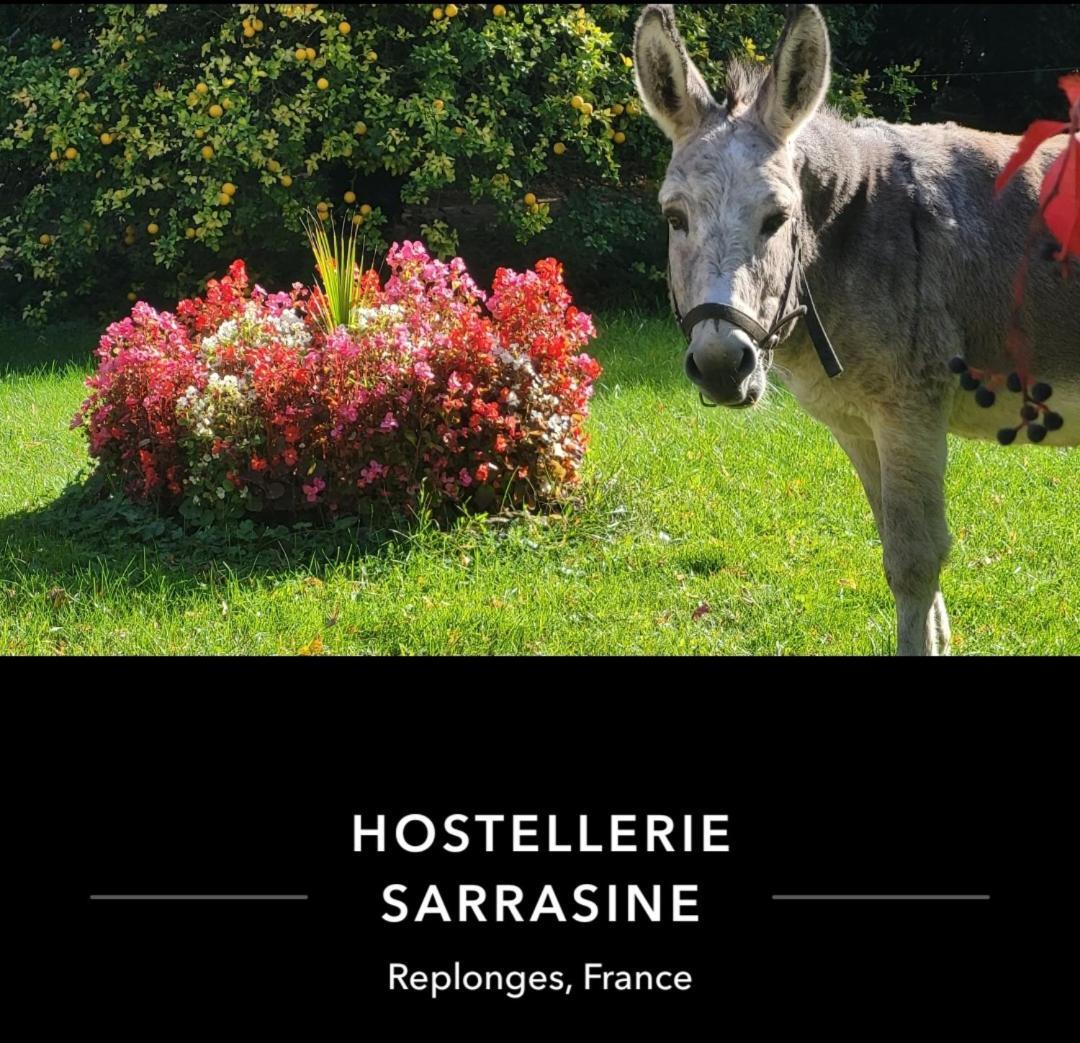 Hostellerie Sarrasine - Macon Est Replonges Kültér fotó