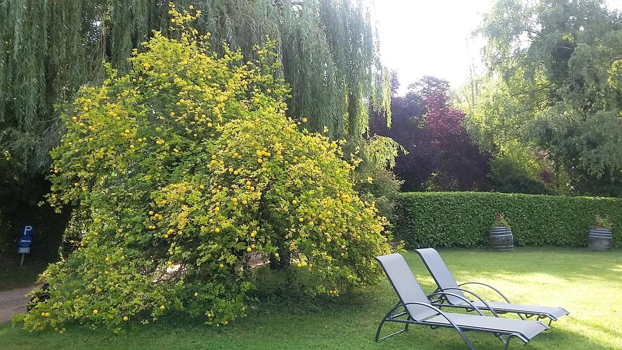 Hostellerie Sarrasine - Macon Est Replonges Kültér fotó